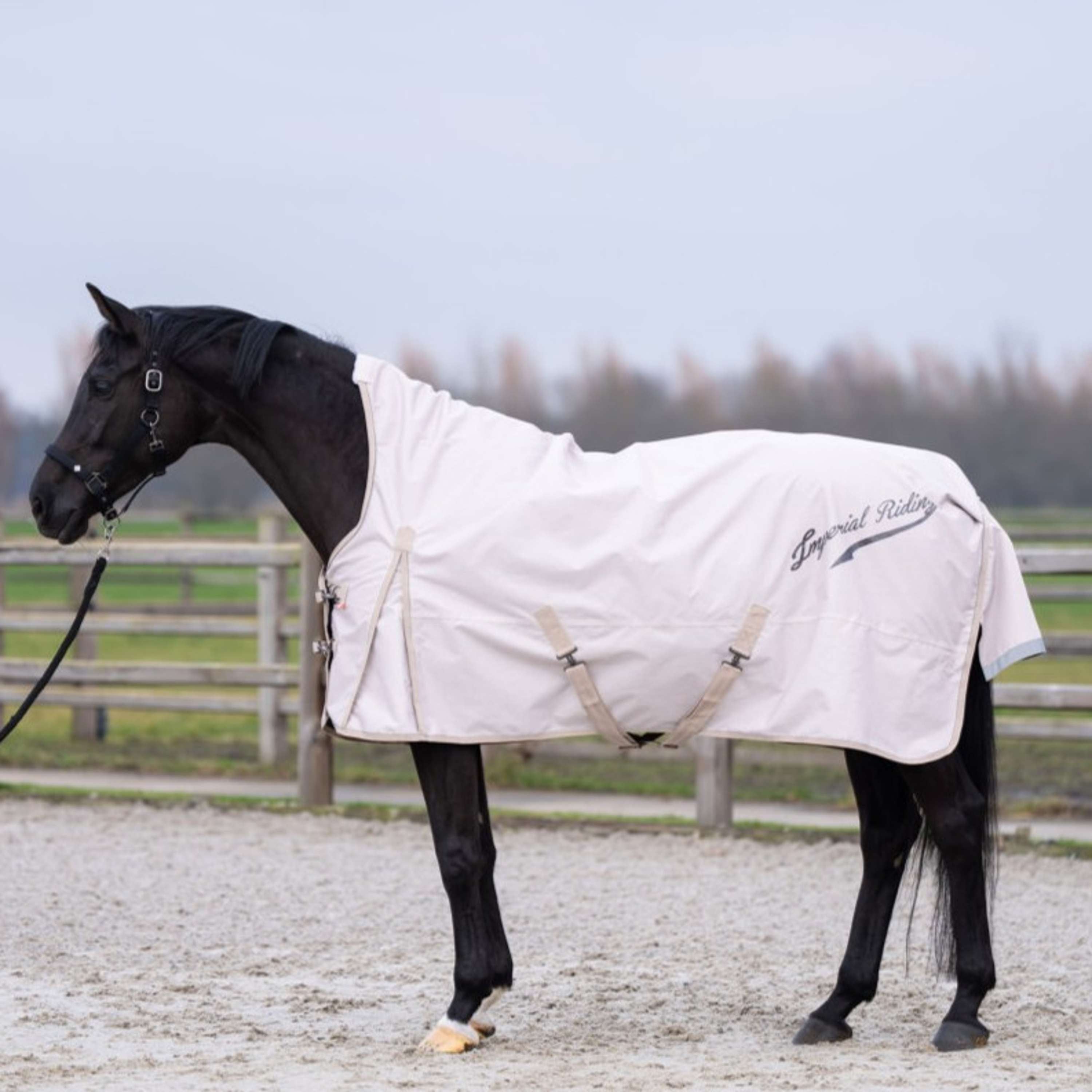 Imperial Riding Outdoordecke IRHSuper-dry AOP 100g Taupe
