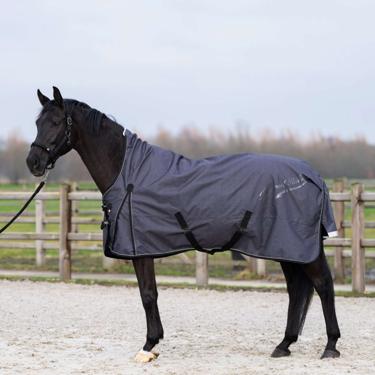 Imperial Riding Outdoordecke IRHSuper-dry AOP 200g Grau