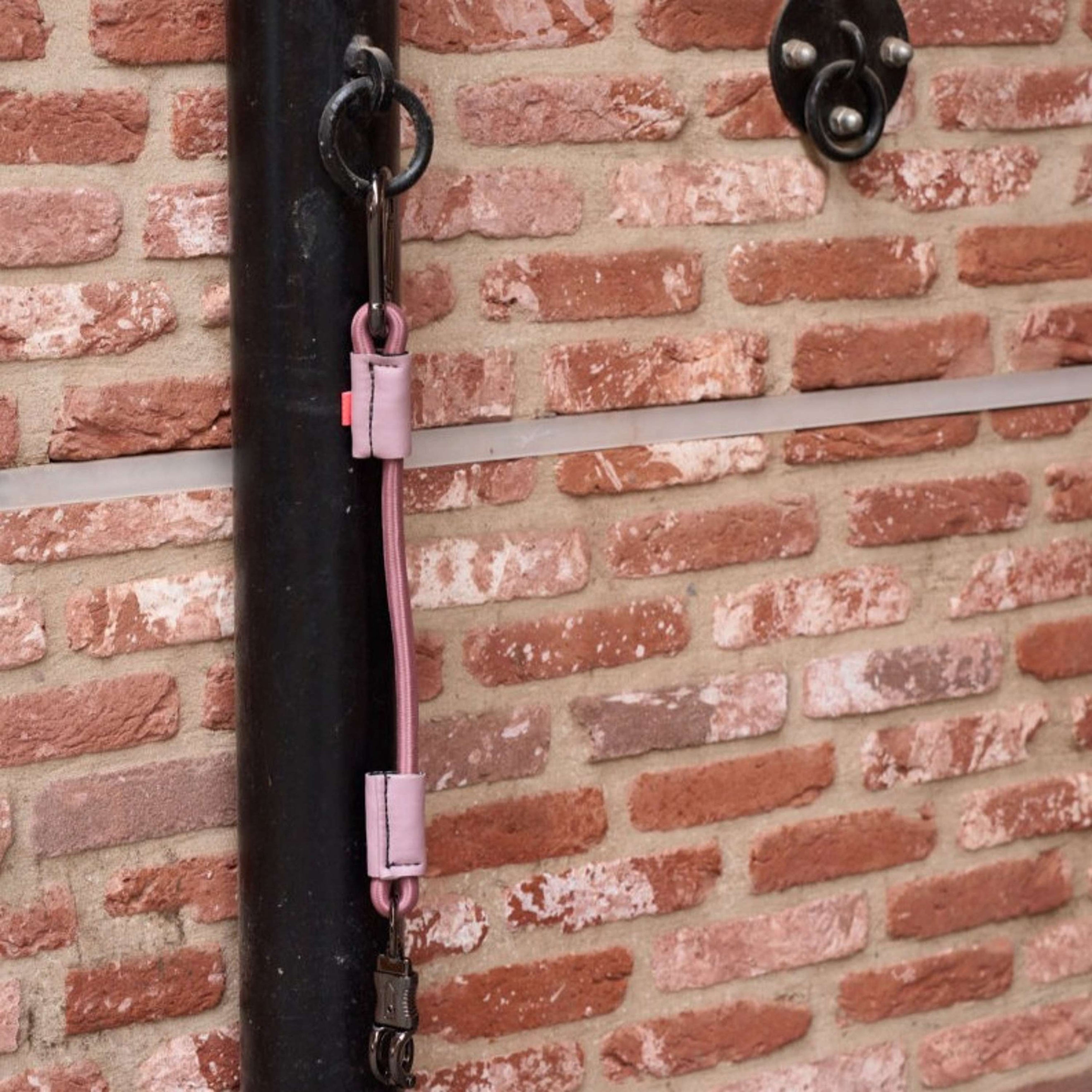 Imperial Riding Hängerleine Elastisch Mauve
