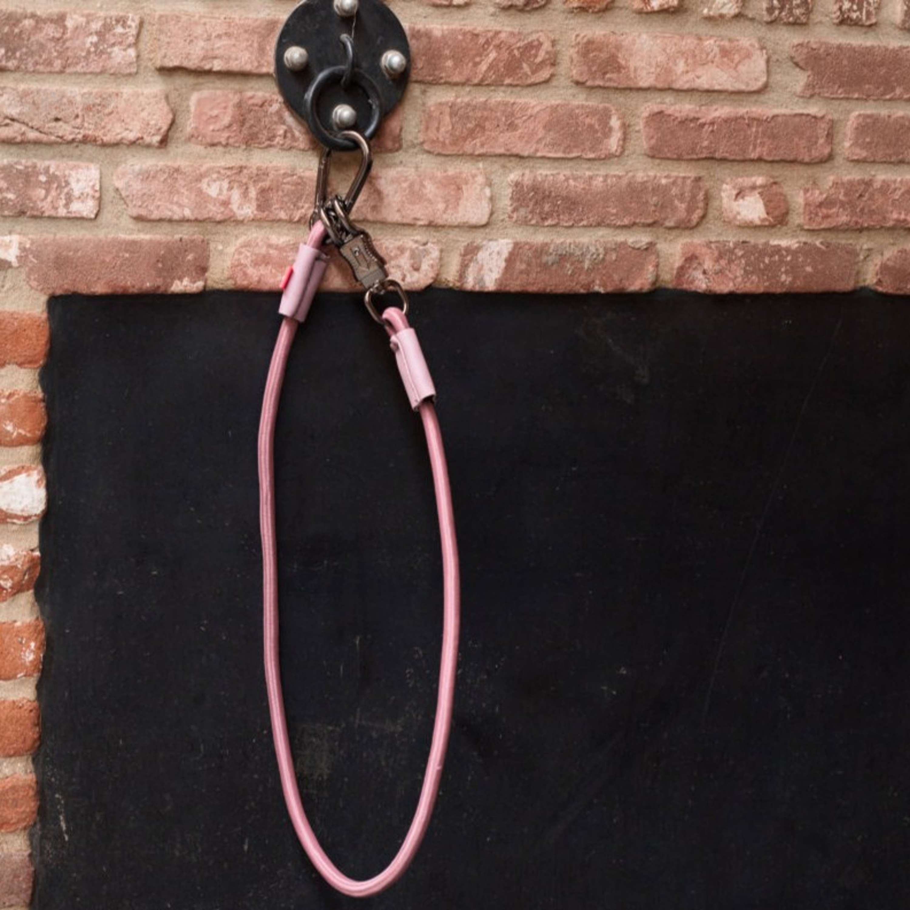 Imperial Riding Hängerleine Elastisch Mauve