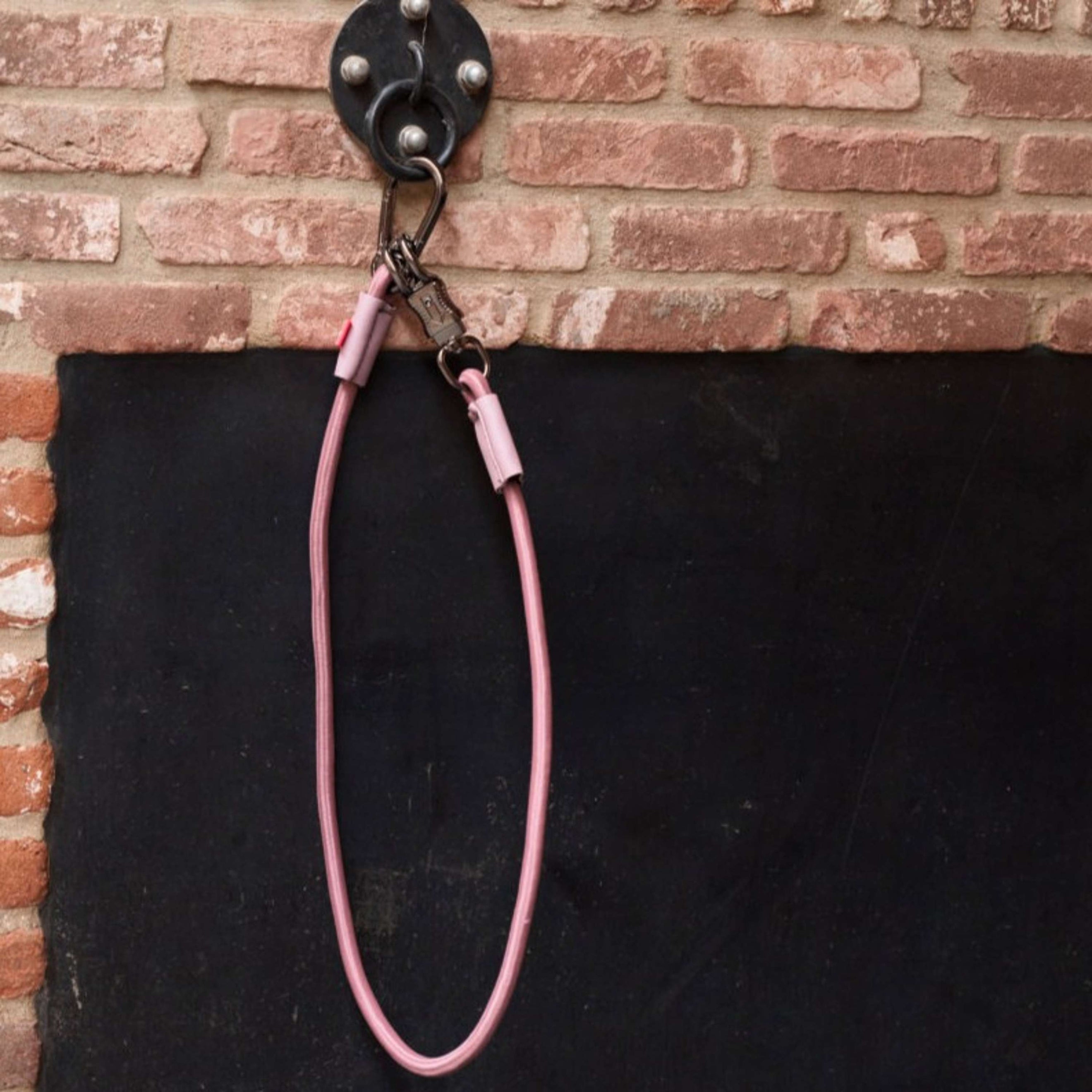 Imperial Riding Hängerleine Elastisch Mauve