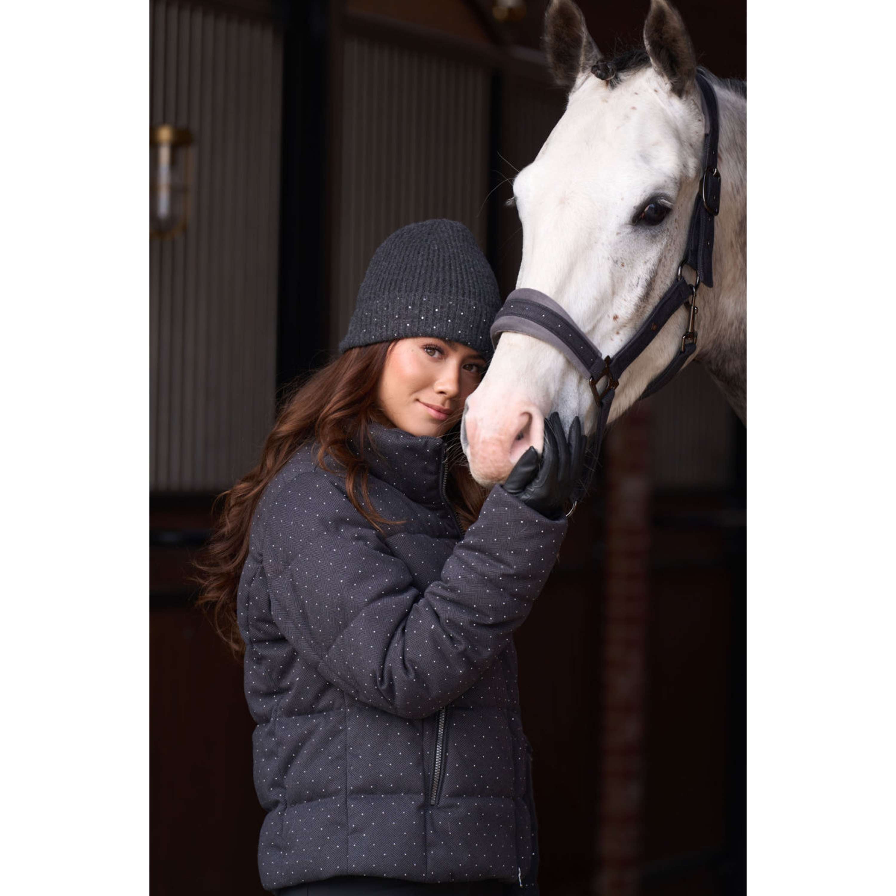 Imperial Riding Halfter IRHPenny Herringbone Grau