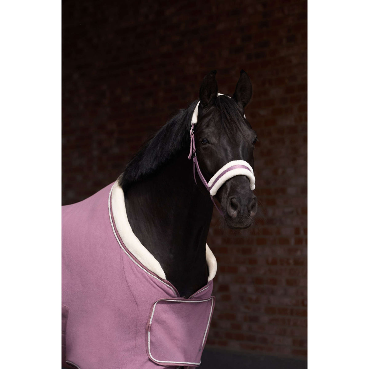Imperial Riding Halfter IRHJewel Mauve