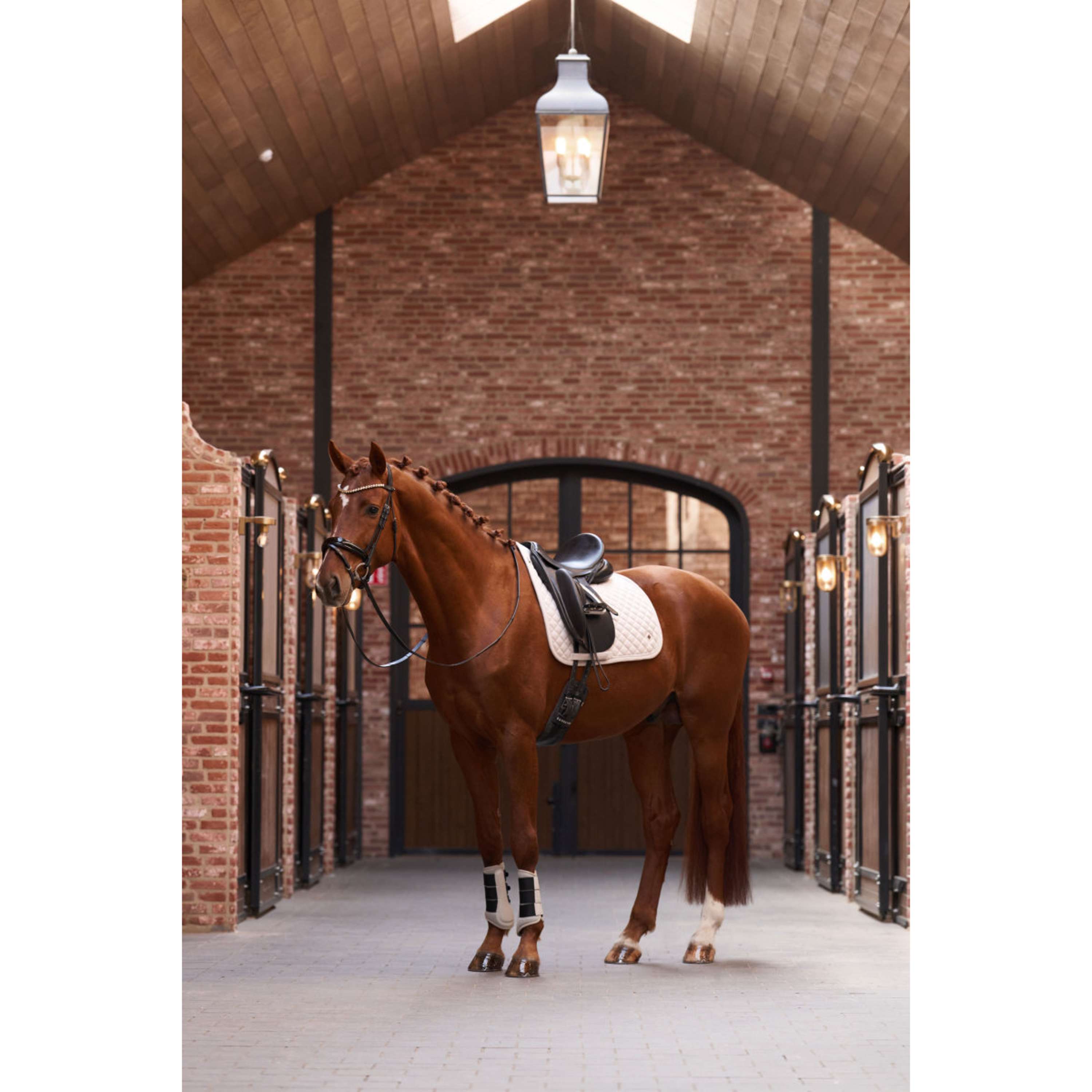 Imperial Riding Schabracke IRHPenny herringbone Dressur Taupe