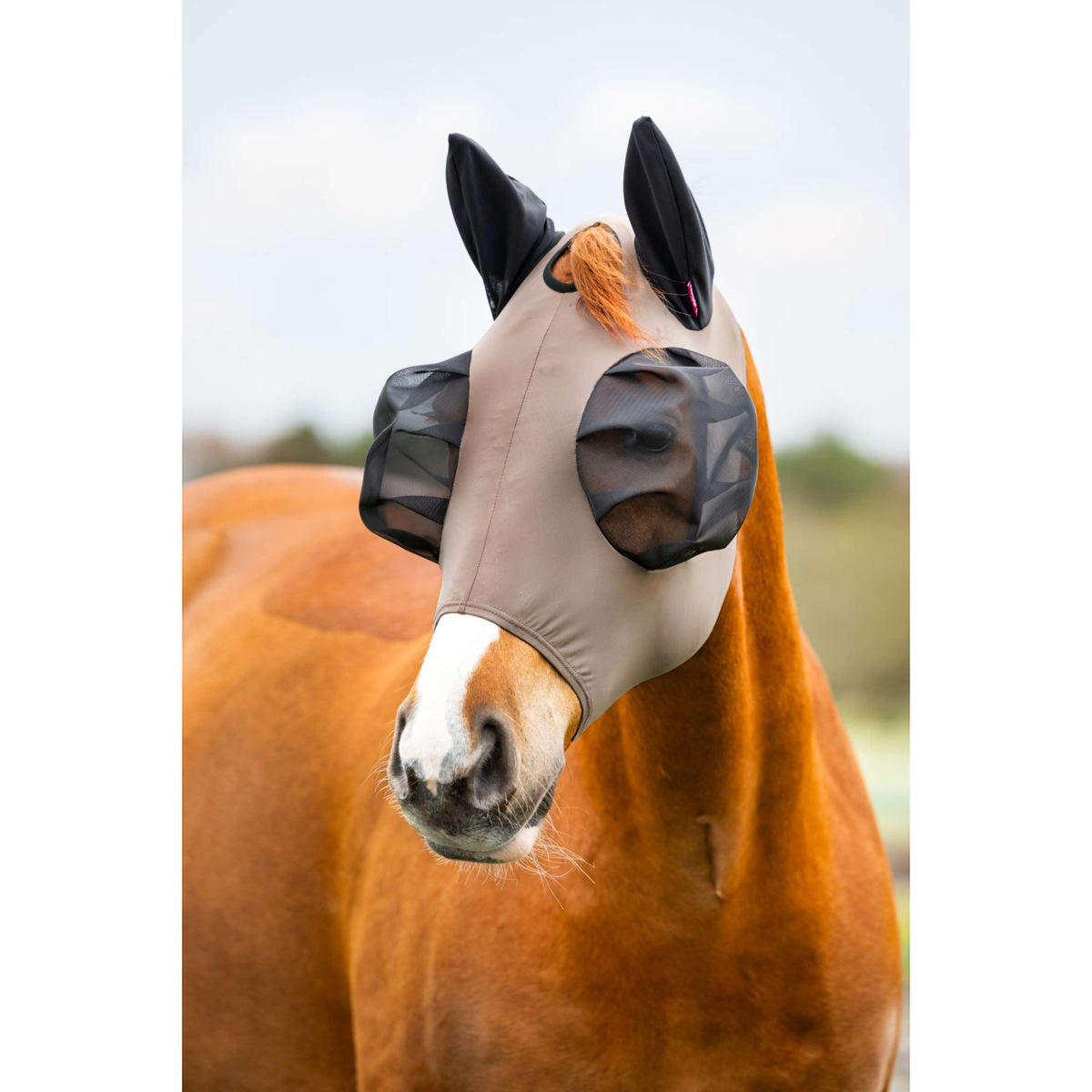 LeMieux Fliegenmaske Bug Relief Nuss