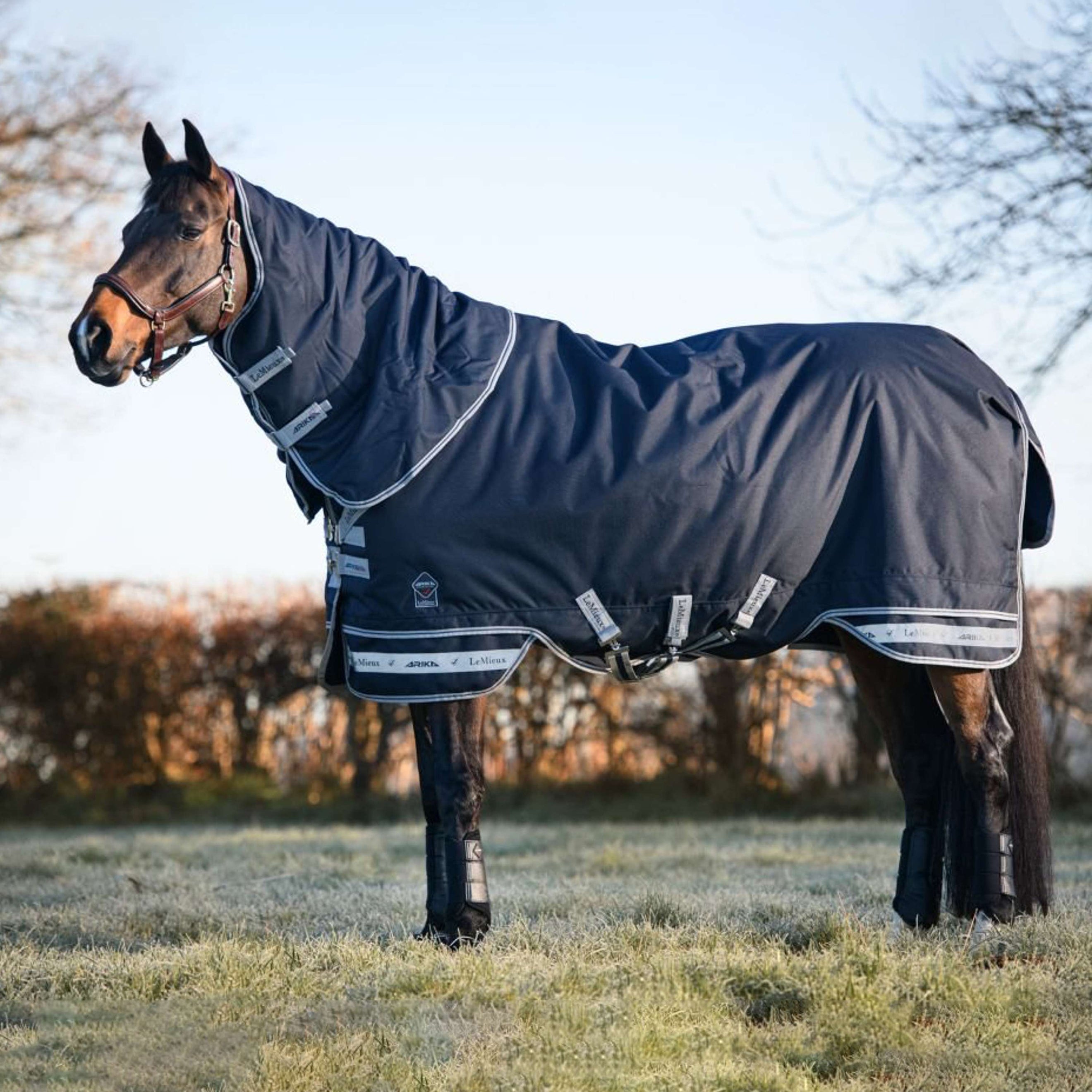 LeMieux Outdoordecke Arika Storm-Tek 50g Blau