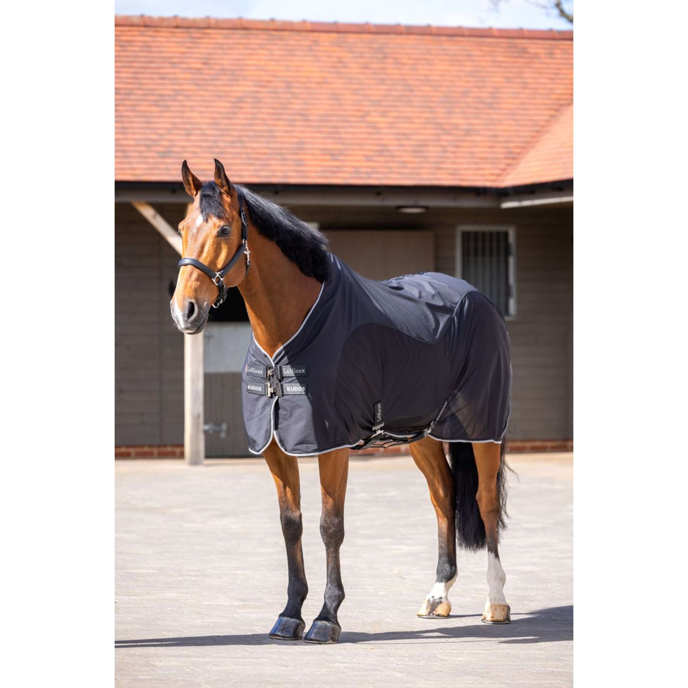 LeMieux Cooler Kudos Hybrid Schwarz LeMieux Cooler Kudos Hybrid Schwarz