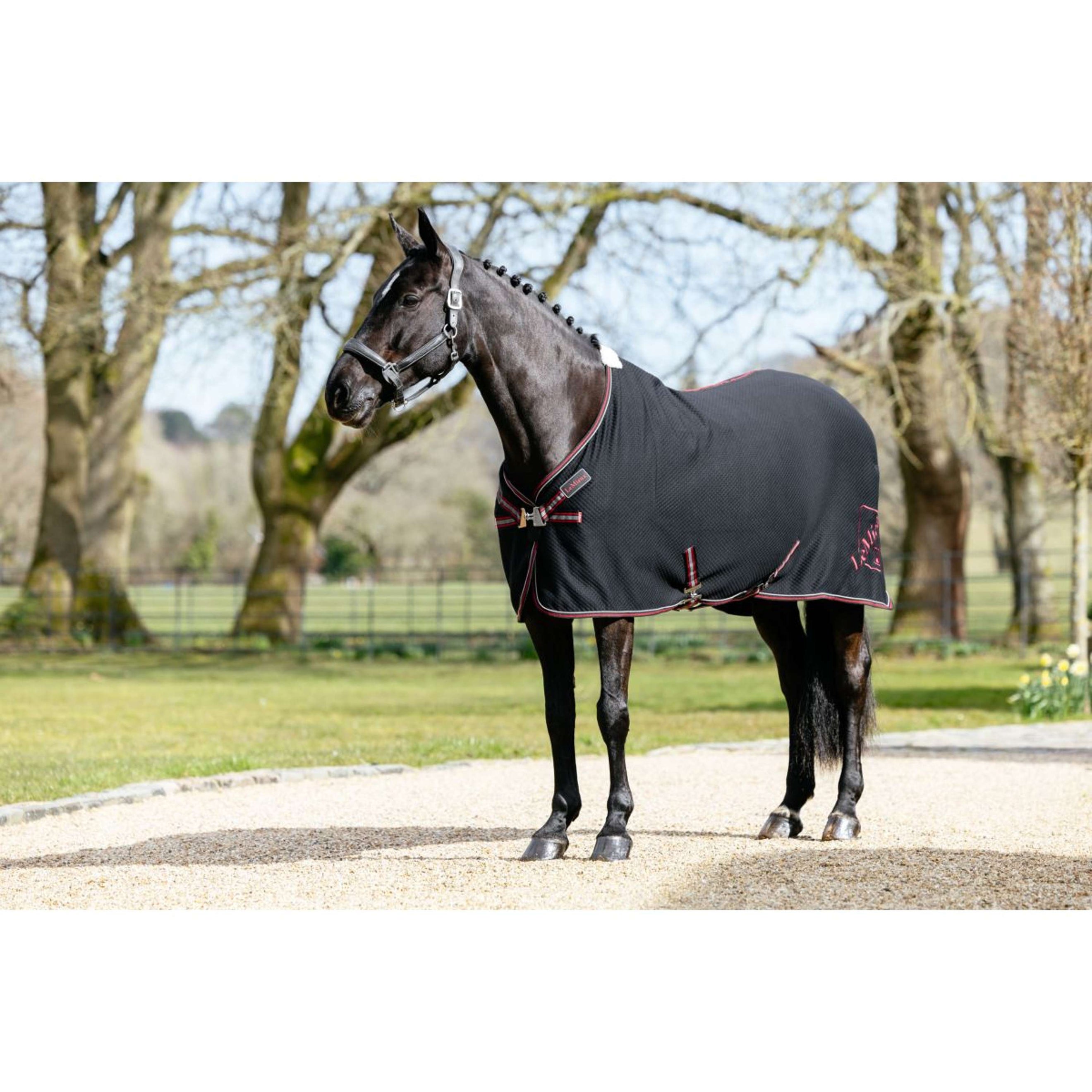 LeMieux Cooler Kudos Bamboo Schwarz LeMieux Cooler Kudos Bamboo Schwarz