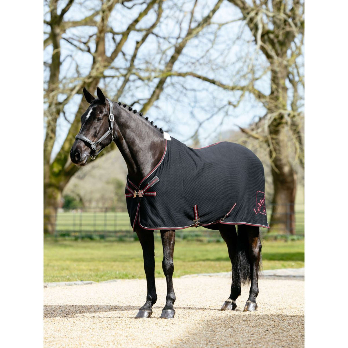 LeMieux Cooler Kudos Bamboo Schwarz