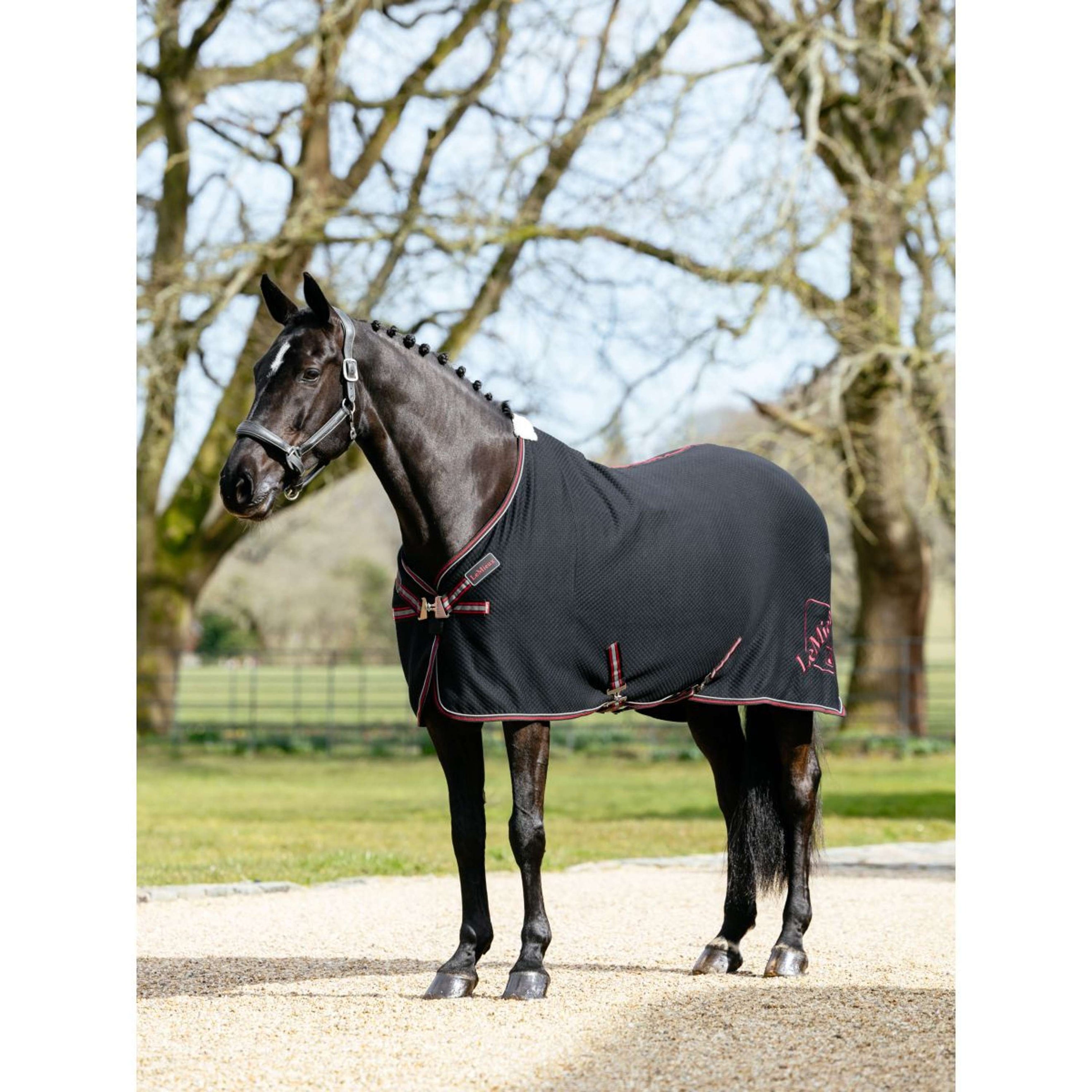 LeMieux Cooler Kudos Bamboo Schwarz