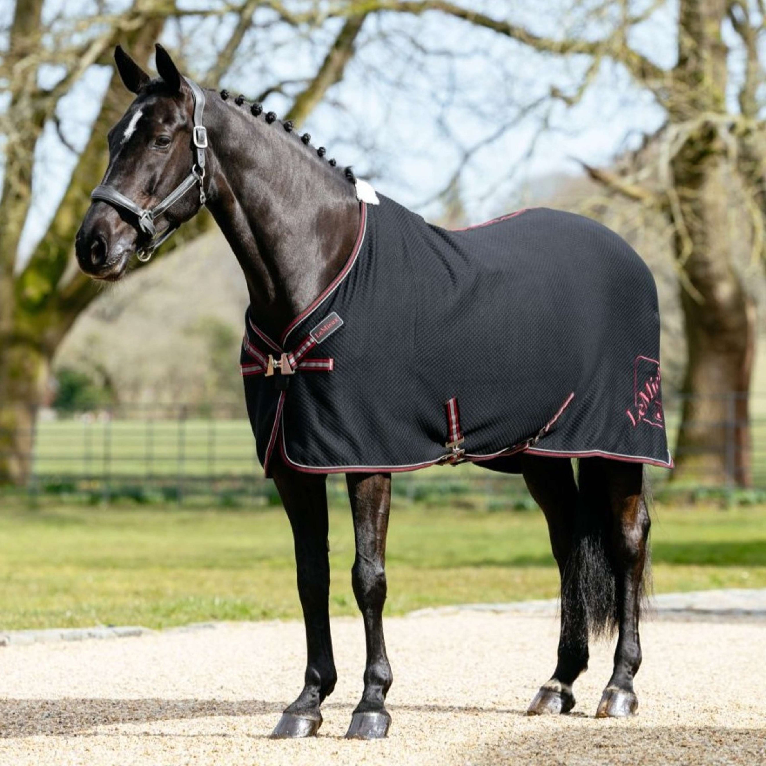 LeMieux Cooler Kudos Bamboo Schwarz