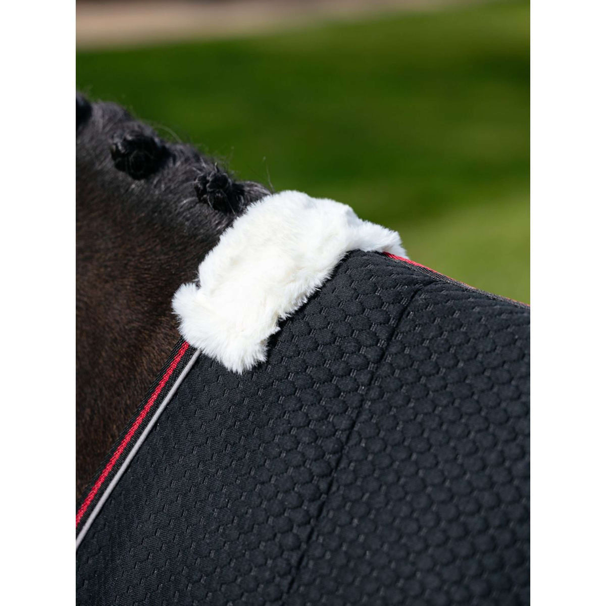 LeMieux Cooler Kudos Bamboo Schwarz