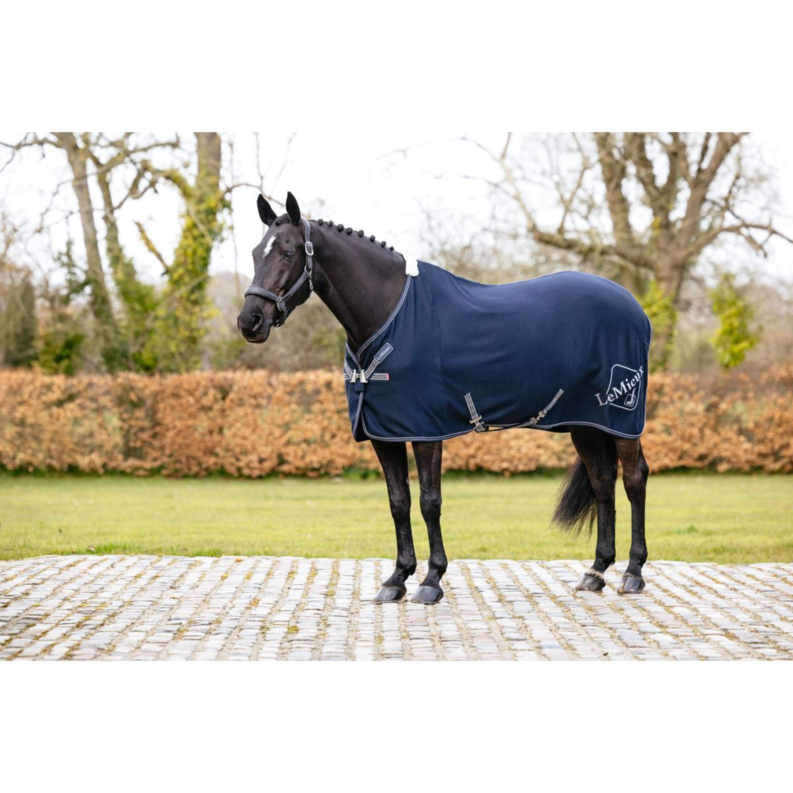 LeMieux Cooler Kudos Bamboo Navy