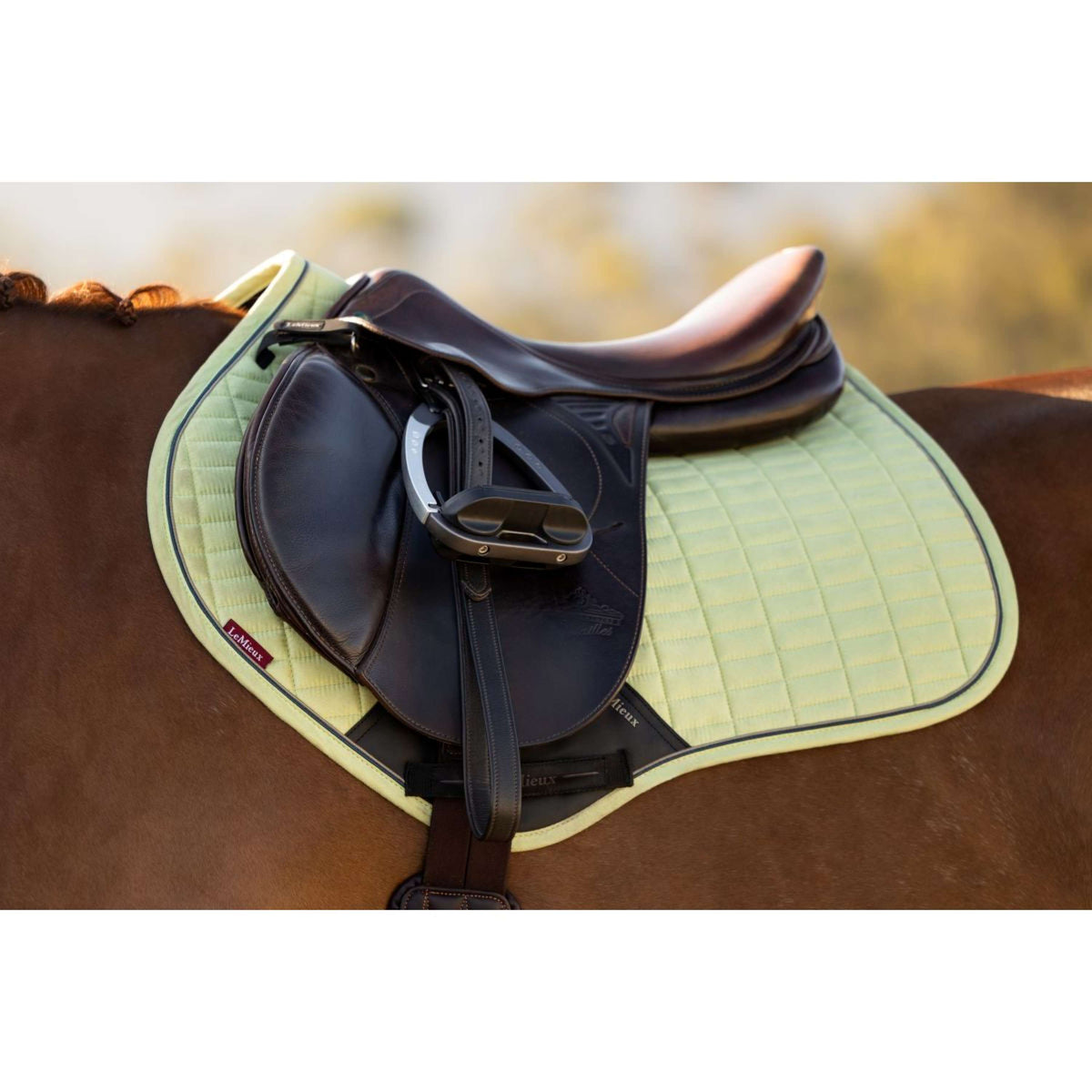 LeMieux Schabracke Suede Close Contact Square Springen Macaron