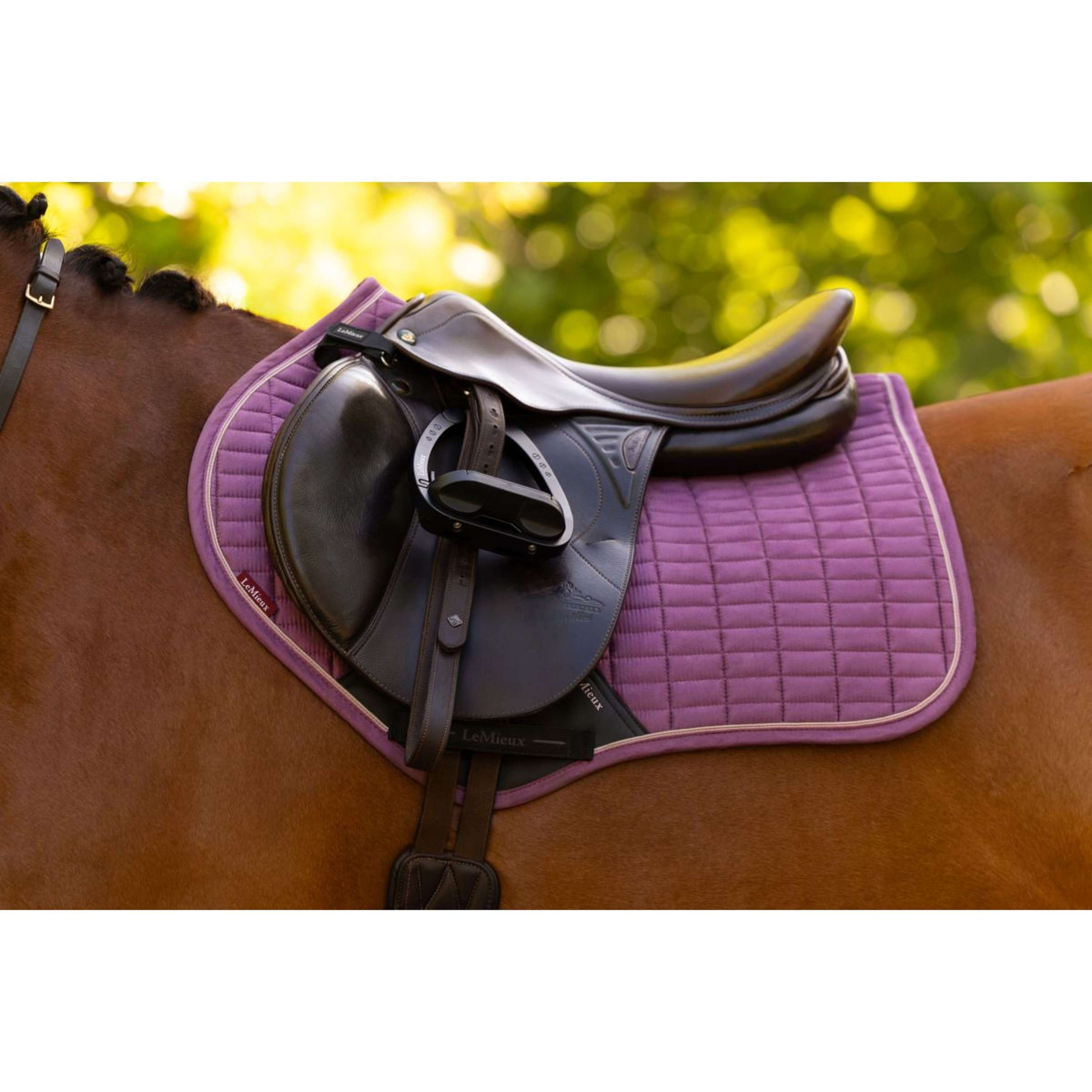 LeMieux Schabracke Suede Close Contact Square Springen Mallow
