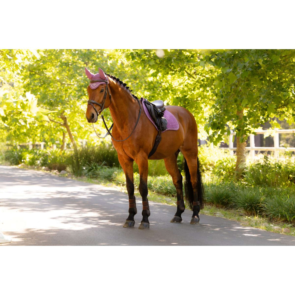 LeMieux Schabracke Suede Close Contact Square Springen Mallow