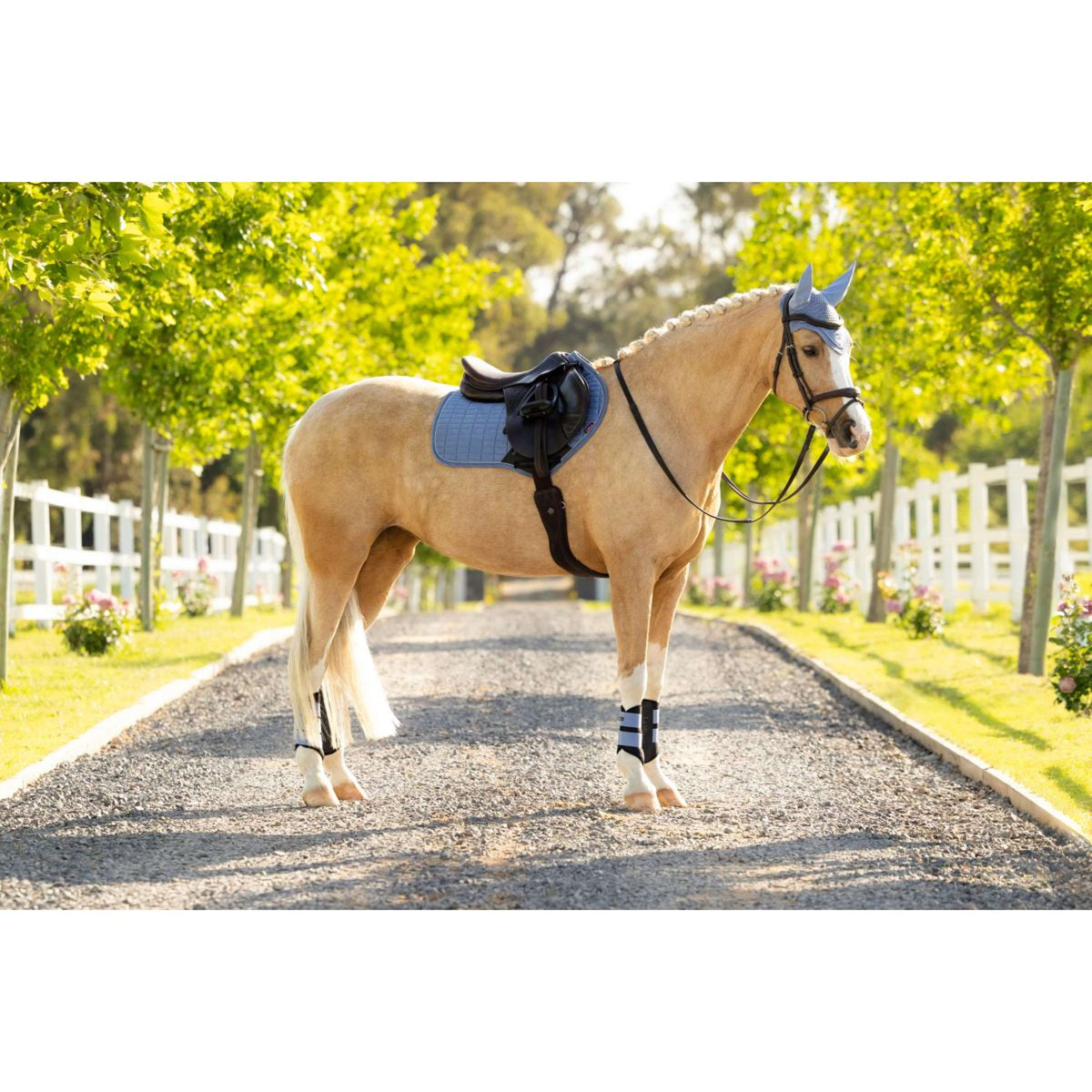 LeMieux Schabracke Suede Close Contact Square Springen Powder Blue