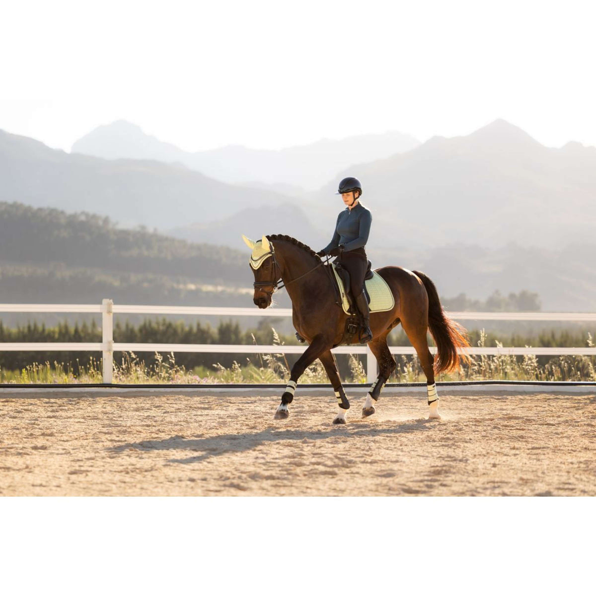 LeMieux Schabracke Suede Square Dressur Macaron