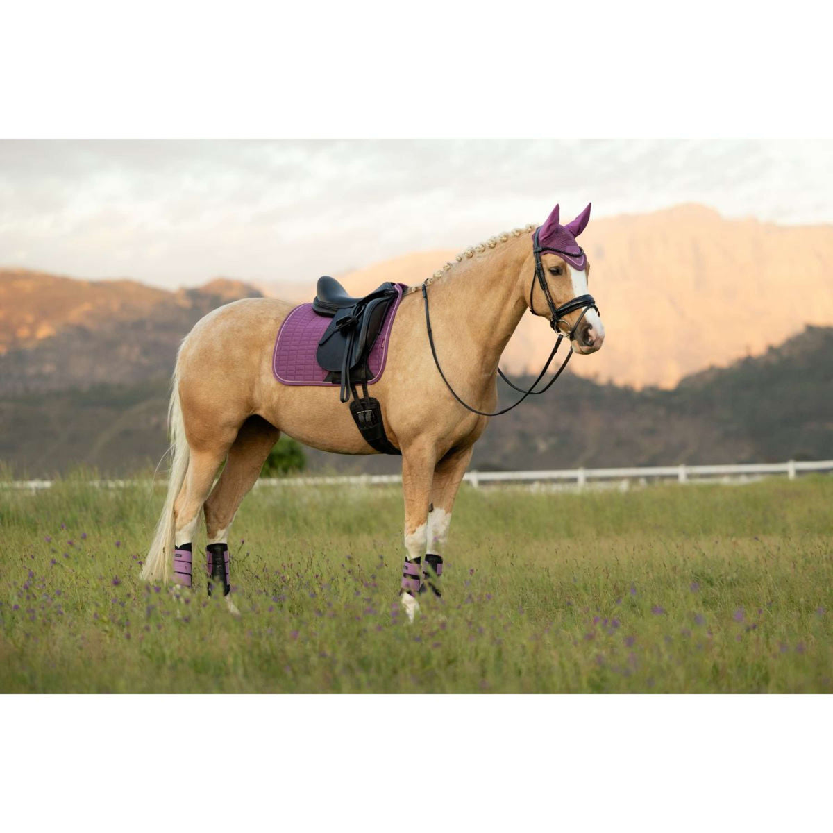 LeMieux Schabracke Suede Square Dressur Mallow