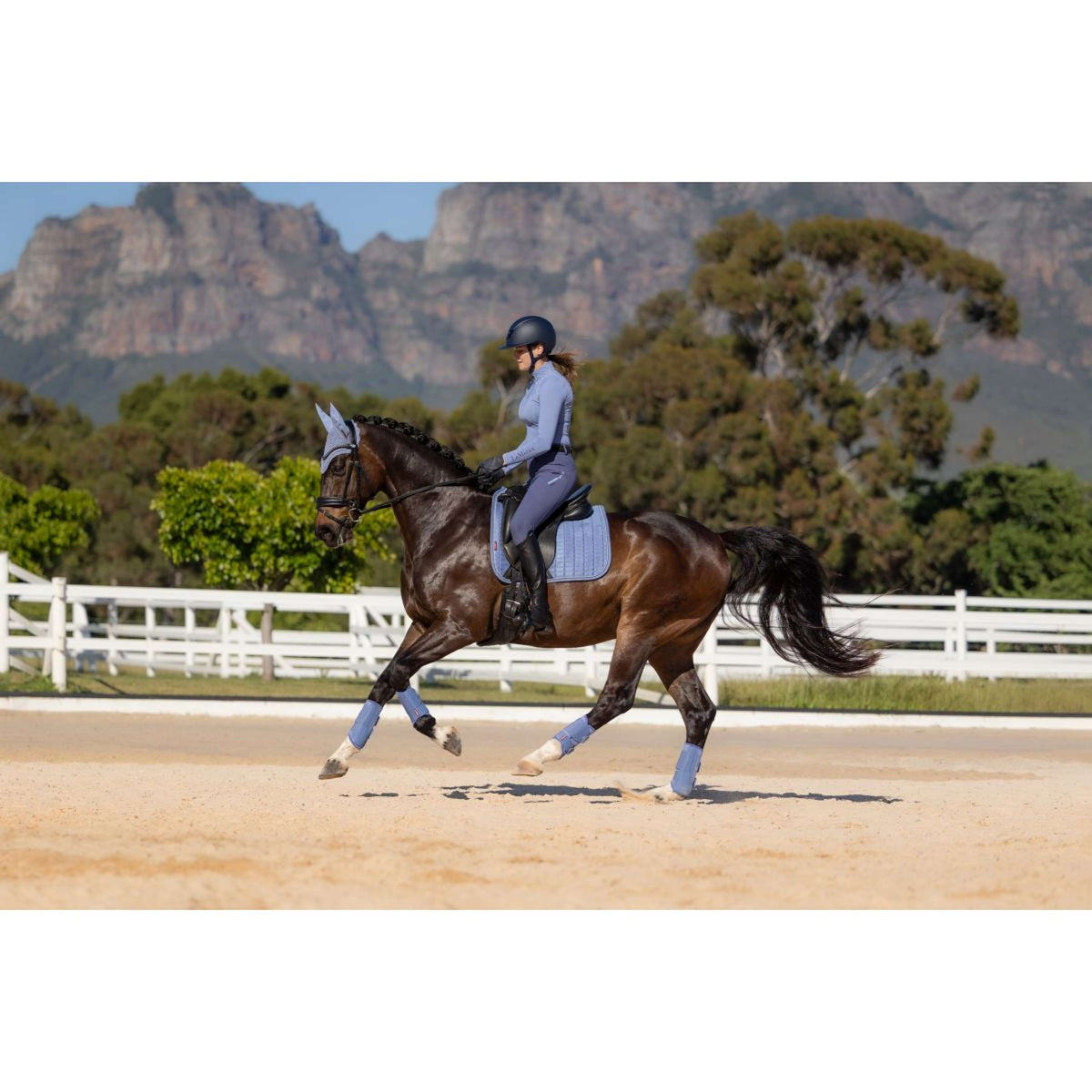 LeMieux Schabracke Suede Square Dressur Powder Blue