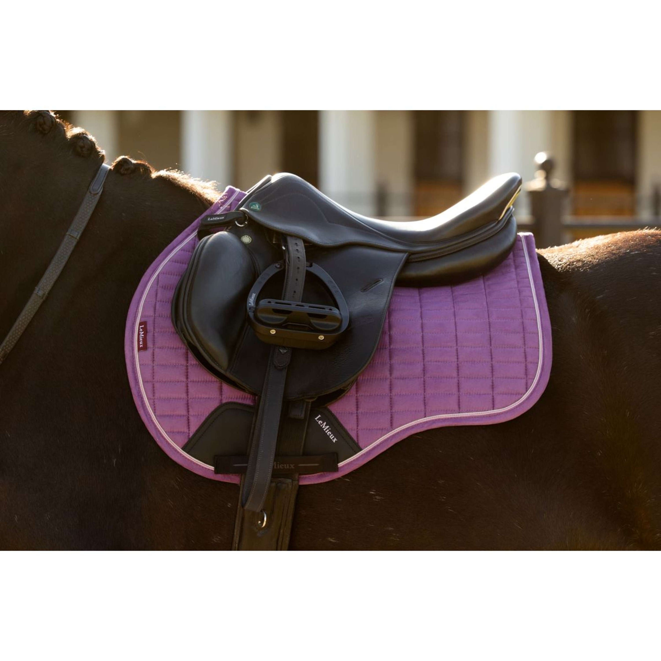 LeMieux Schabracke Suede Square Vielseitigkeit Mallow