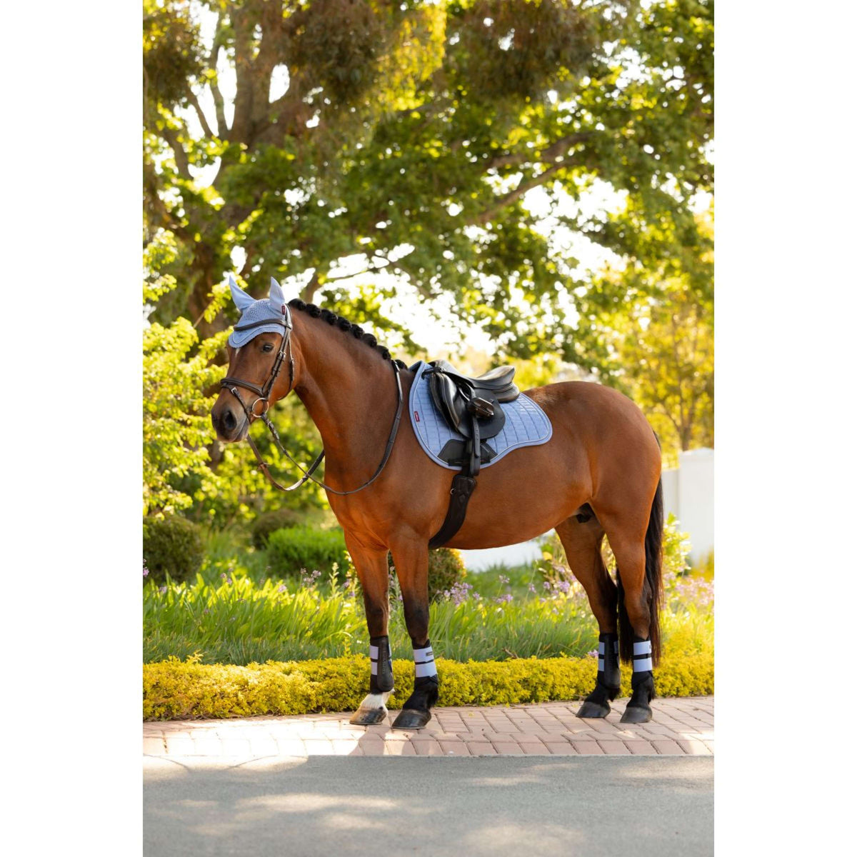 LeMieux Schabracke Suede Square Vielseitigkeit Powder Blue