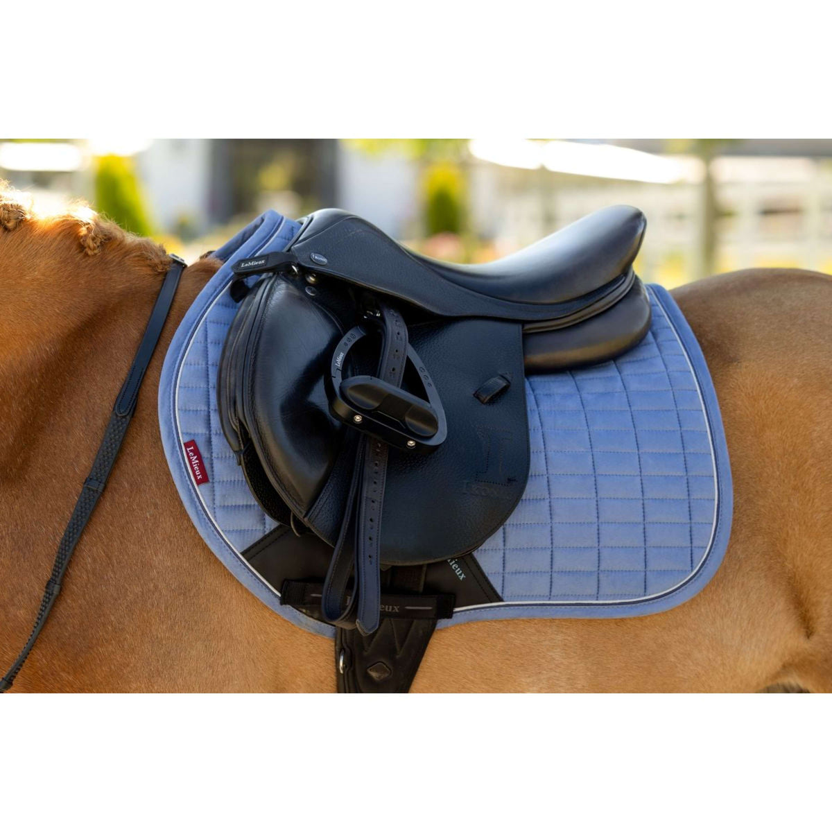 LeMieux Schabracke Mini Suede Close Contact Square Springen Powder Blue