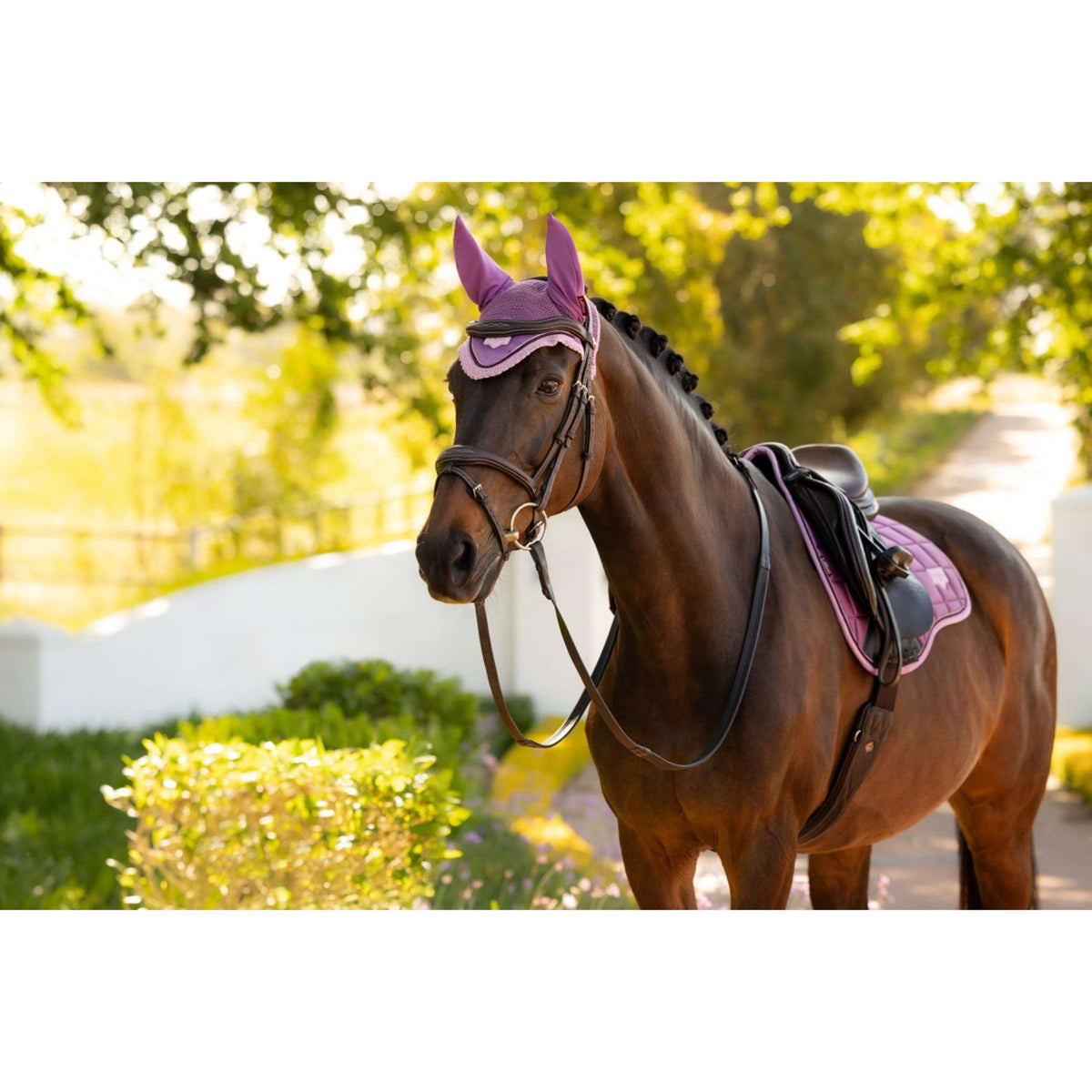 LeMieux Fliegenhaube Loire Mallow