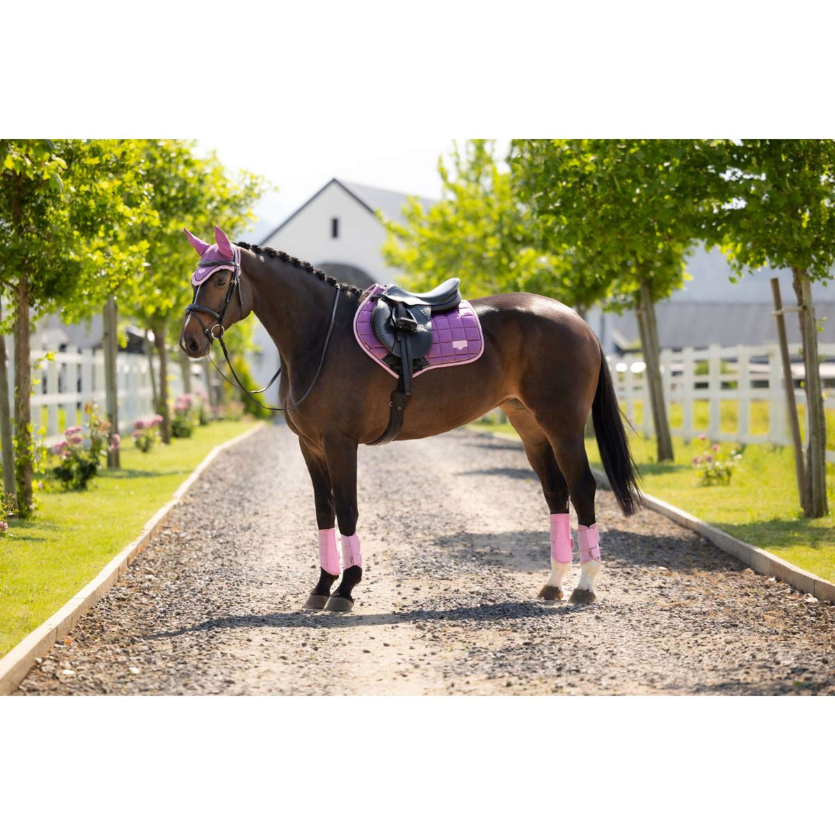 LeMieux Schabracke Loire Classic Close Contact Square Springen Mallow