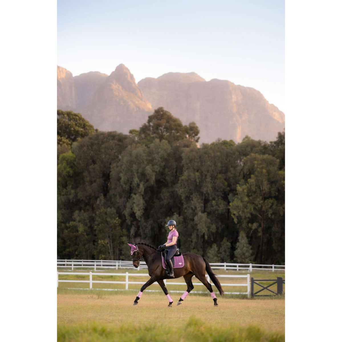 LeMieux Schabracke Loire Classic Square Dressur Mallow