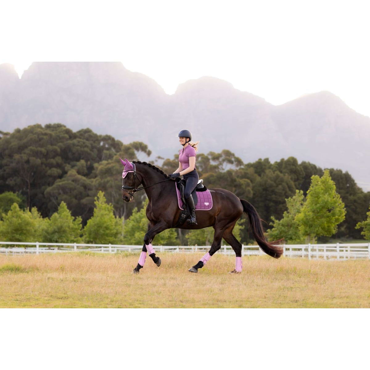 LeMieux Schabracke Loire Classic Square Dressur Mallow