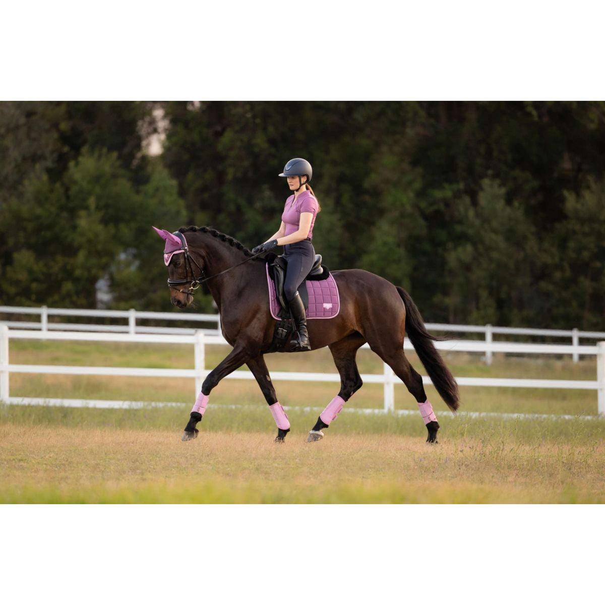 LeMieux Schabracke Loire Classic Square Dressur Mallow