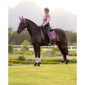 LeMieux Schabracke Loire Classic Square Dressur Mallow