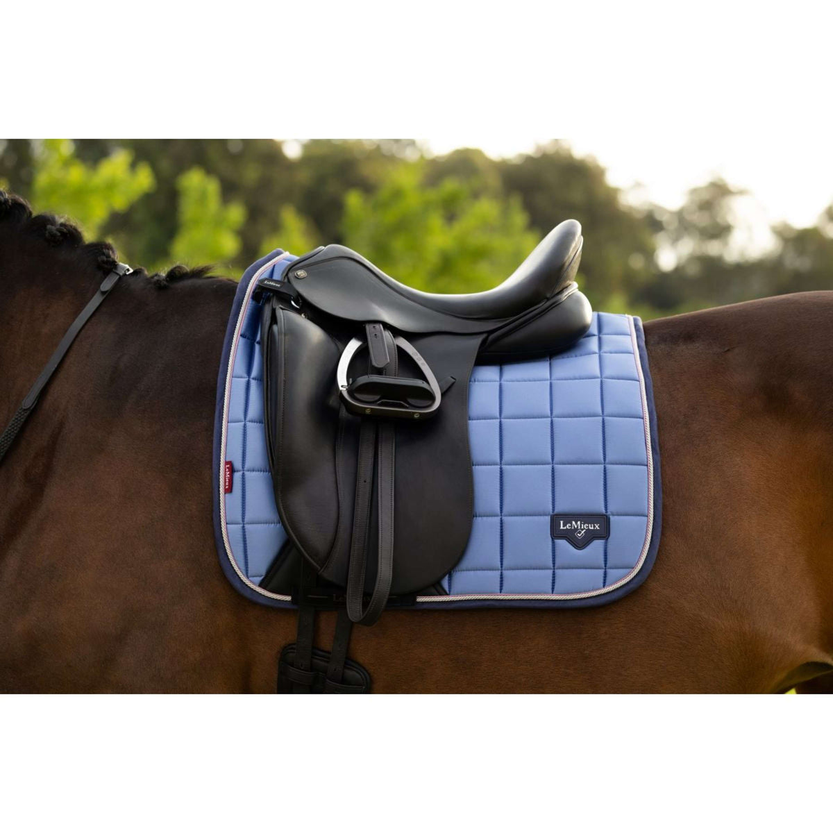 LeMieux Schabracke Loire Classic Square Dressur Powder Blue