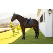 LeMieux Schabracke Loire Classic Square Dressur Jungle