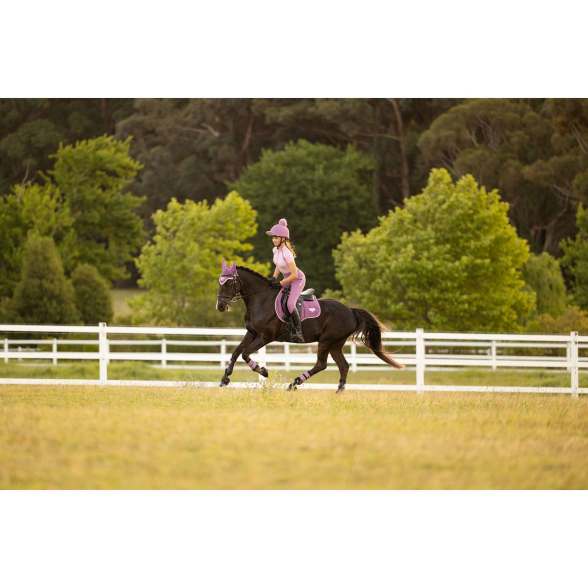 LeMieux Schabracke Loire Classic Square Vielseitigkeit Mallow