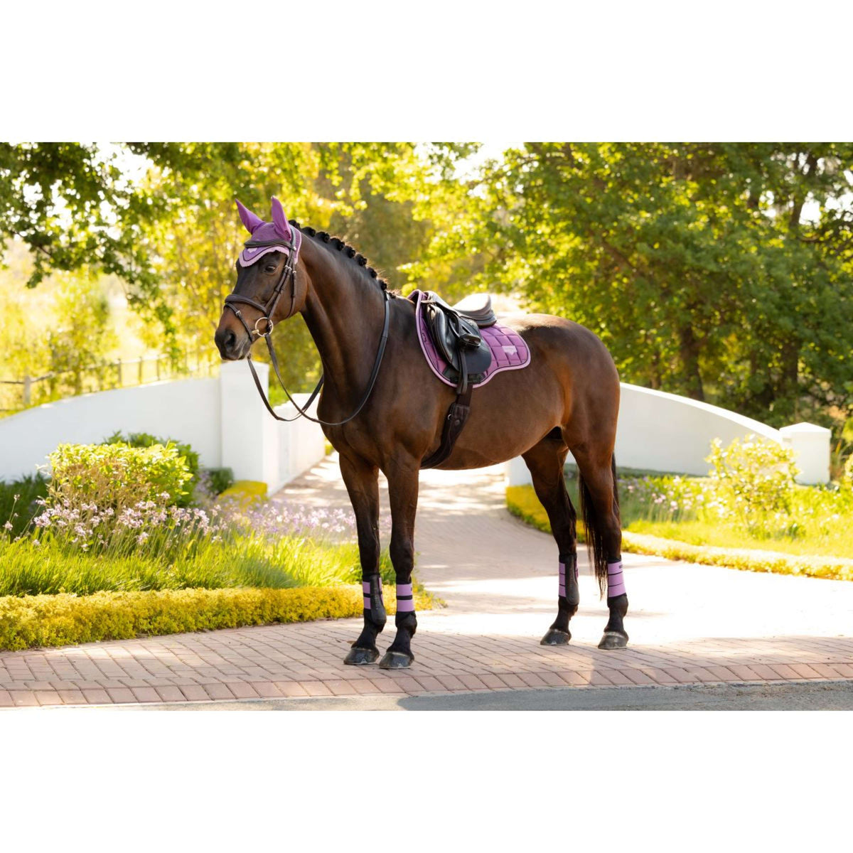 LeMieux Schabracke Loire Classic Square Vielseitigkeit Mallow