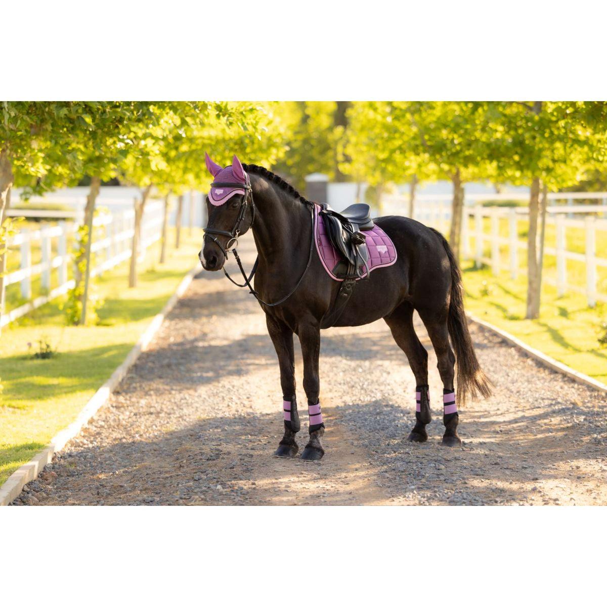 LeMieux Schabracke Loire Classic Square Vielseitigkeit Mallow