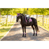 LeMieux Schabracke Loire Classic Square Vielseitigkeit Mallow