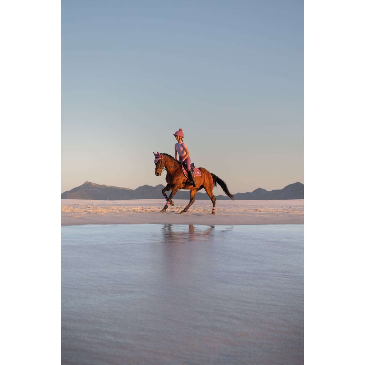 LeMieux Schabracke Loire Classic Square Vielseitigkeit Mallow