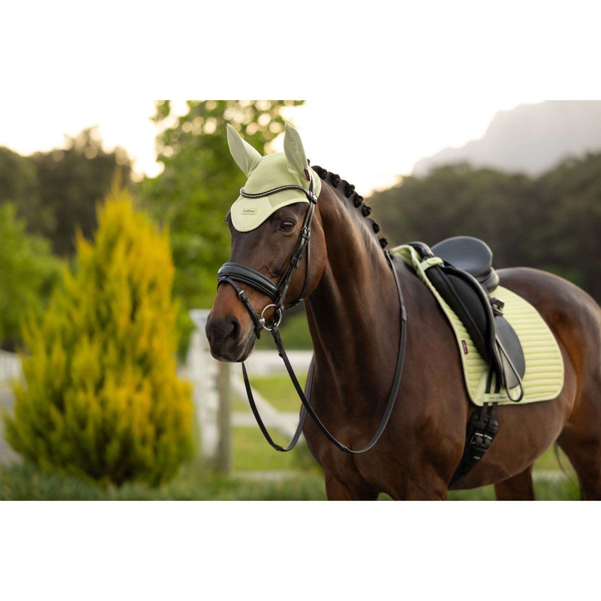 LeMieux Fliegenhaube Air-Tek Mesh Macaron