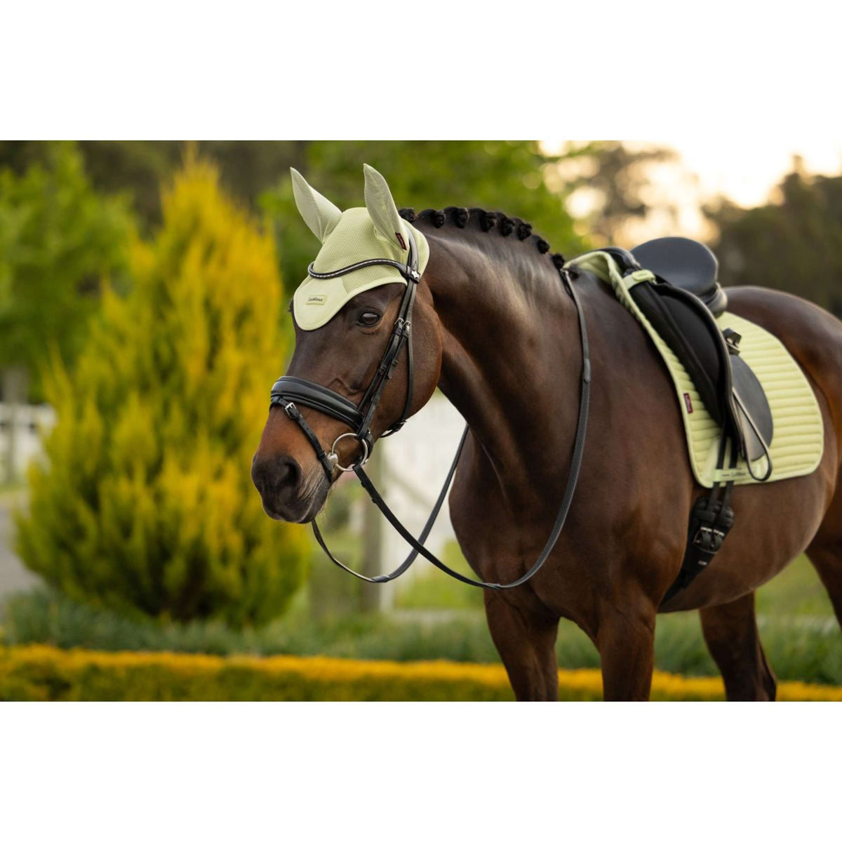 LeMieux Fliegenhaube Air-Tek Mesh Macaron