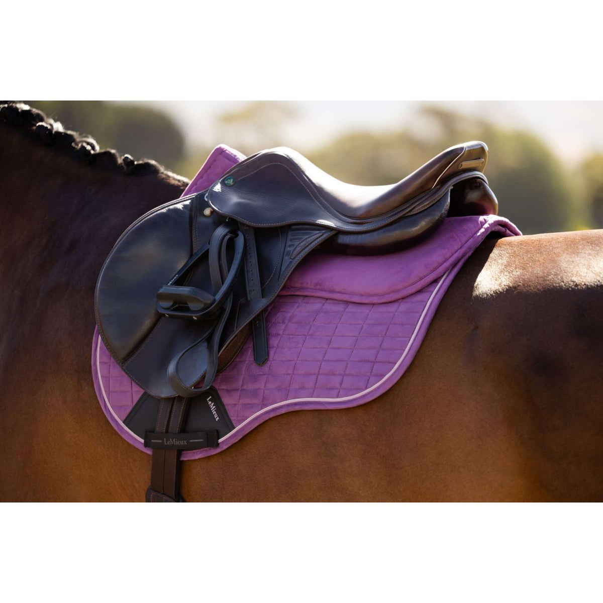LeMieux Sattelunterleger Suede Mallow