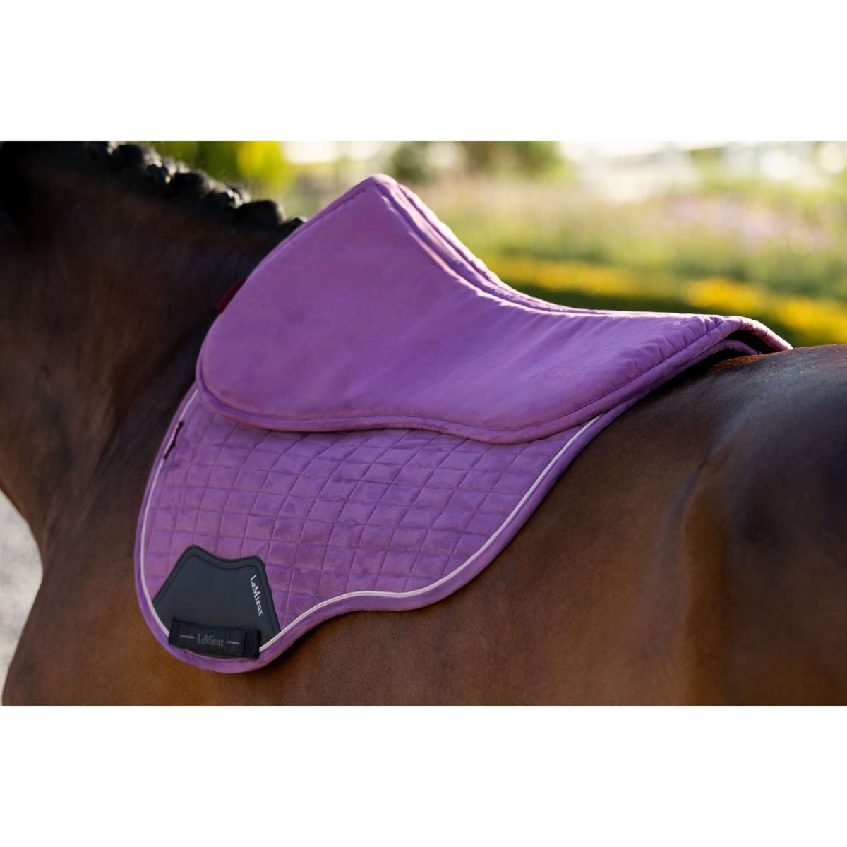 LeMieux Sattelunterleger Suede Mallow