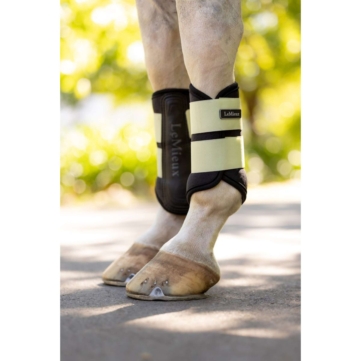 LeMieux Gamaschen Air-Tek Grafter Macaron