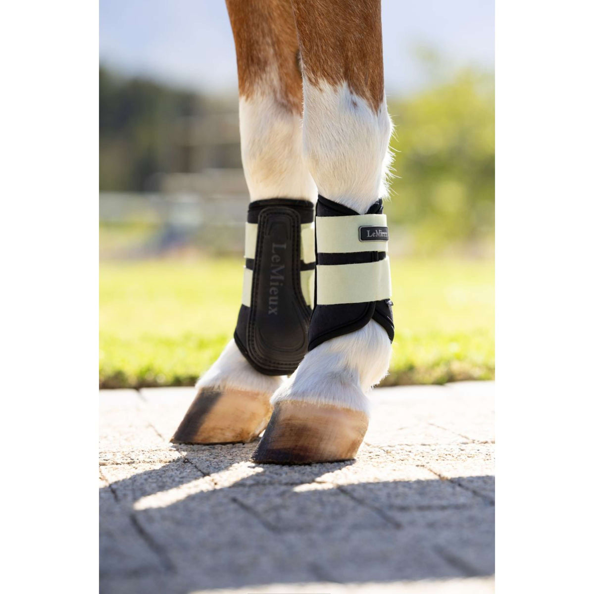 LeMieux Gamaschen Mini Air-Tek Macaron