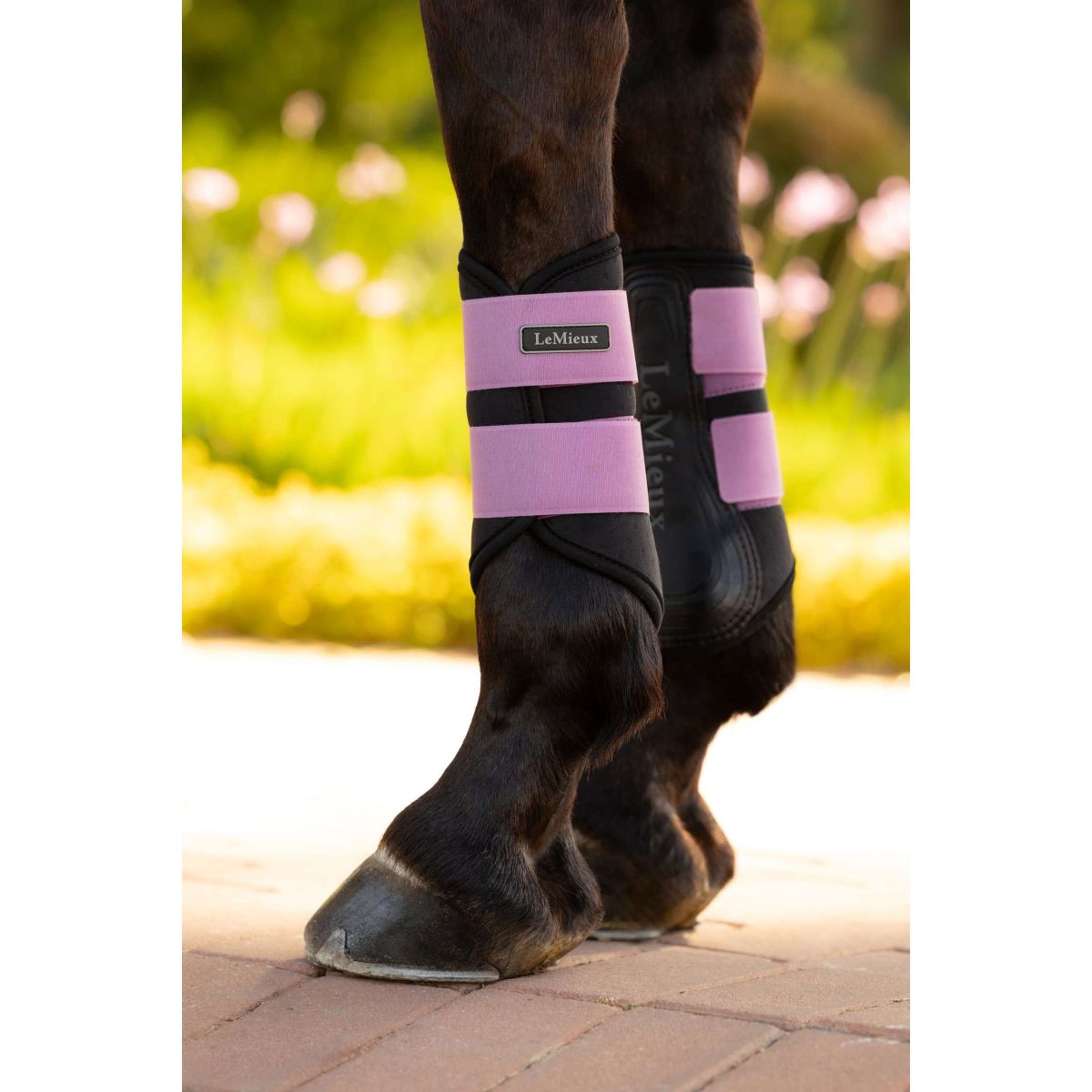 LeMieux Gamaschen Air-Tek Grafter Mallow