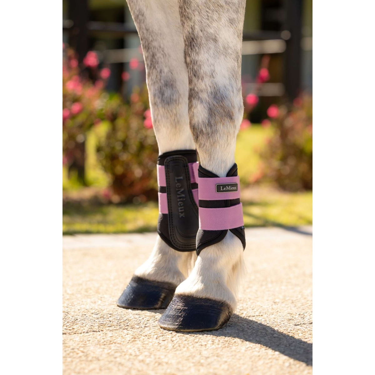 LeMieux Gamaschen Mini Air-Tek Mallow