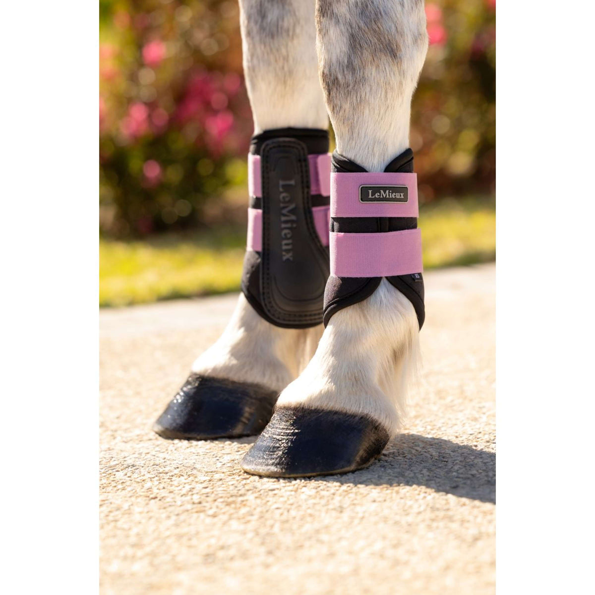 LeMieux Gamaschen Mini Air-Tek Mallow