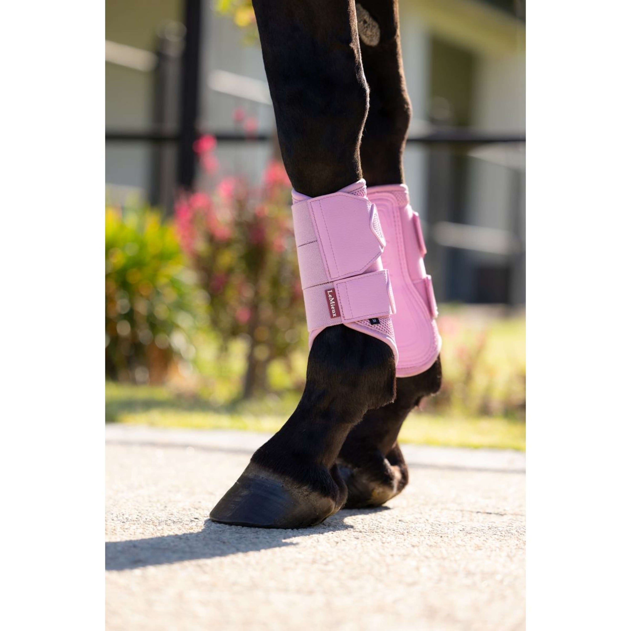 LeMieux Gamaschen Arika Mesh Fondant